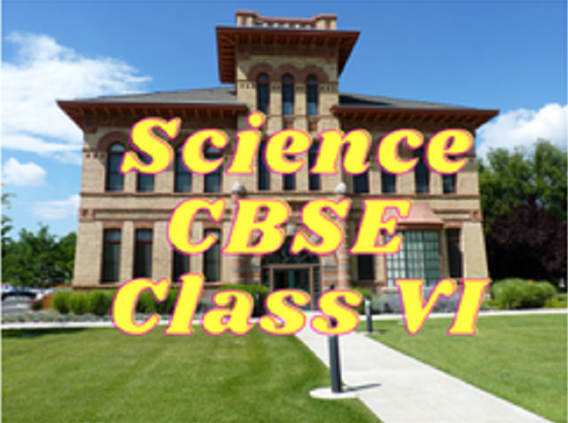Science (CBSE) - Class VI